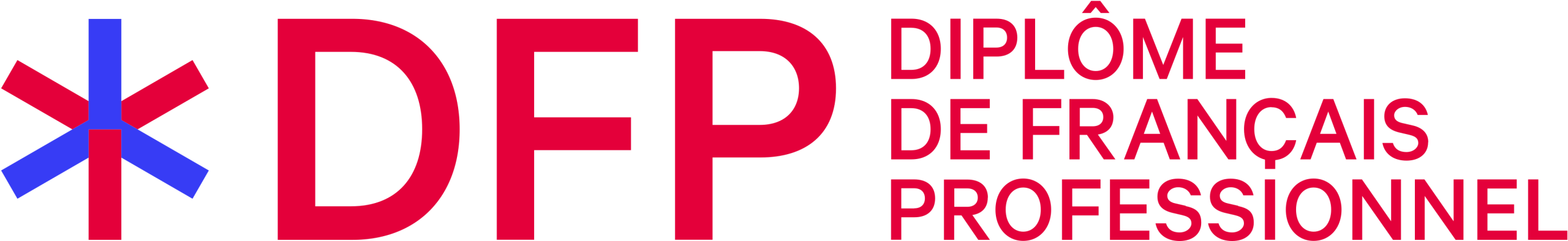 Logo DFP