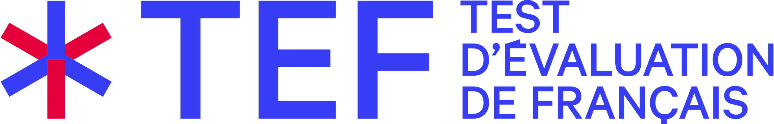 Logo TEF